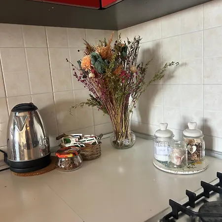 Casa Lancetti - Rooftop Lägenhet *